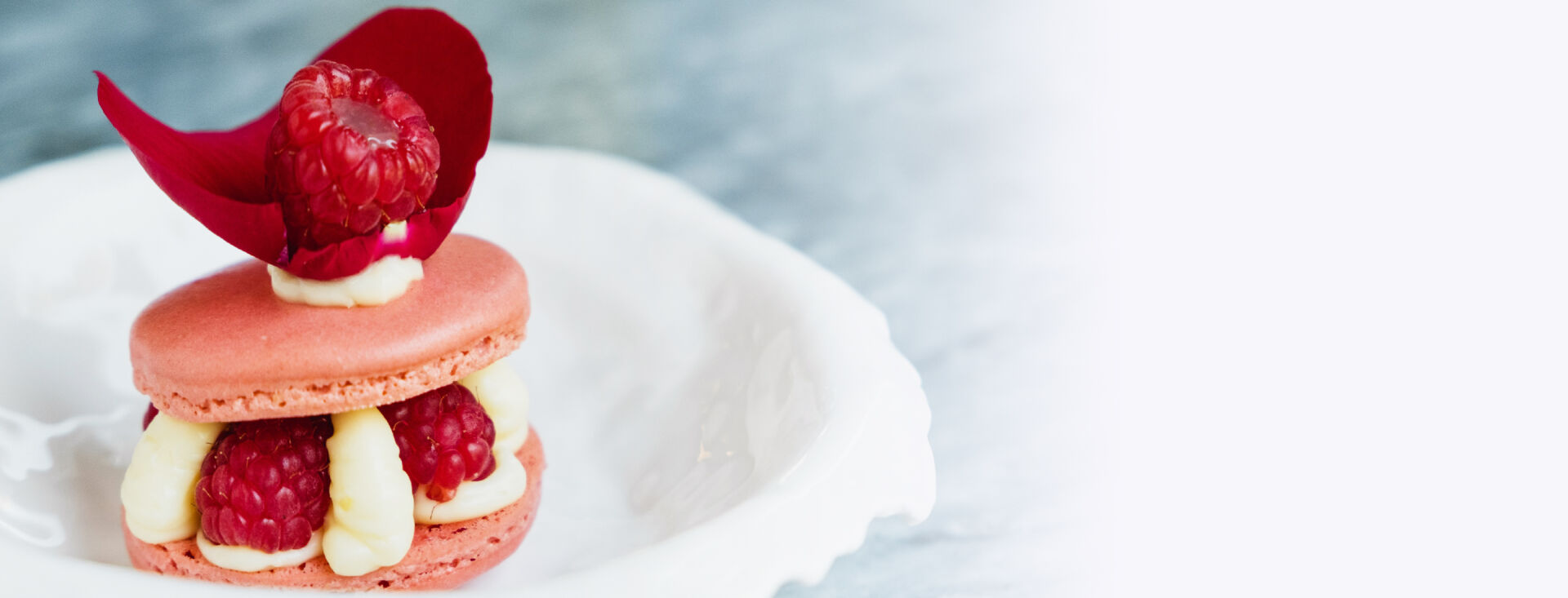 Agentes de volumen y textura